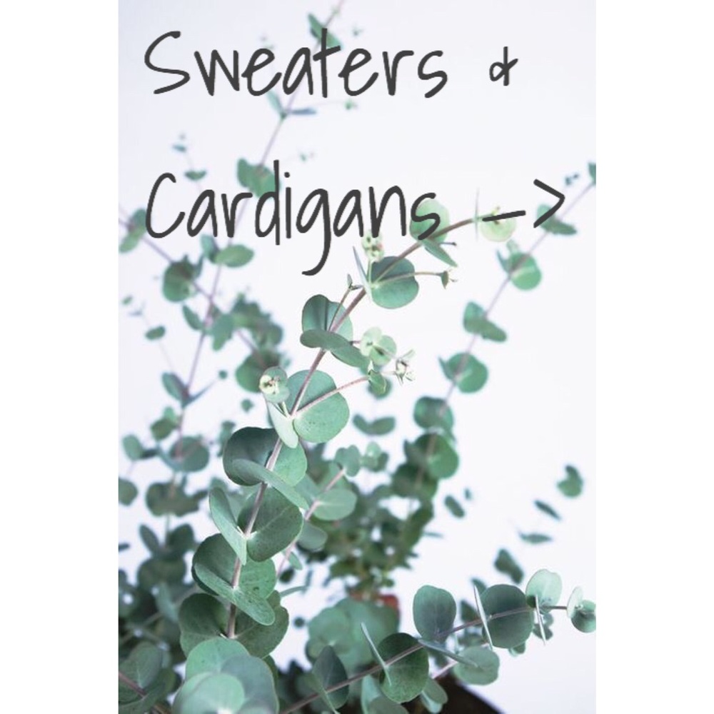 Sweaters & cardigans 👉🏻